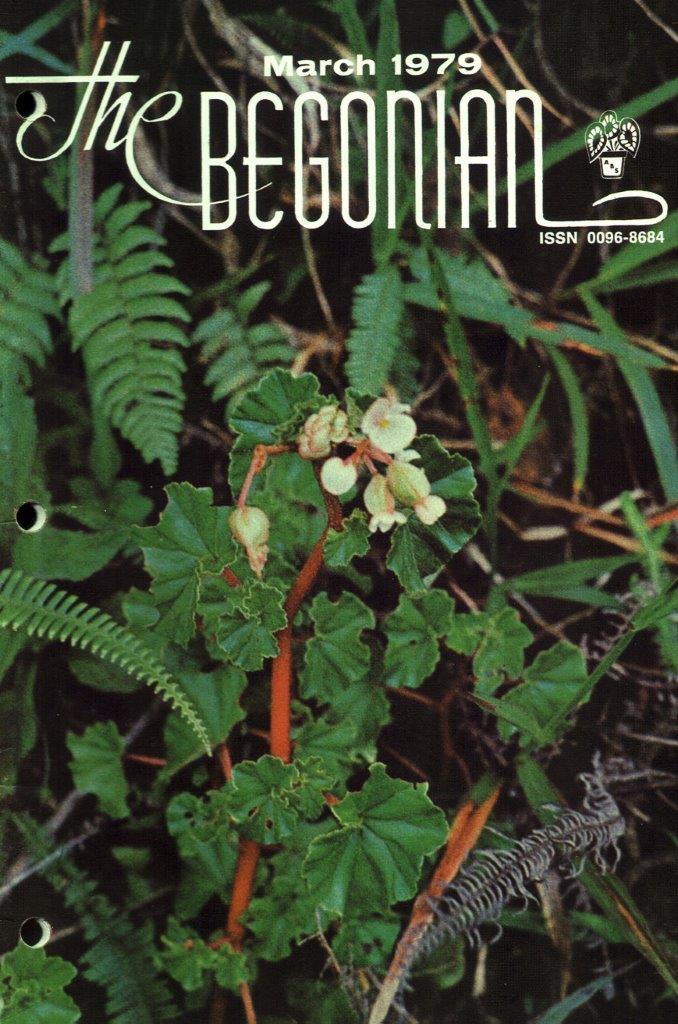 B. tovarensis